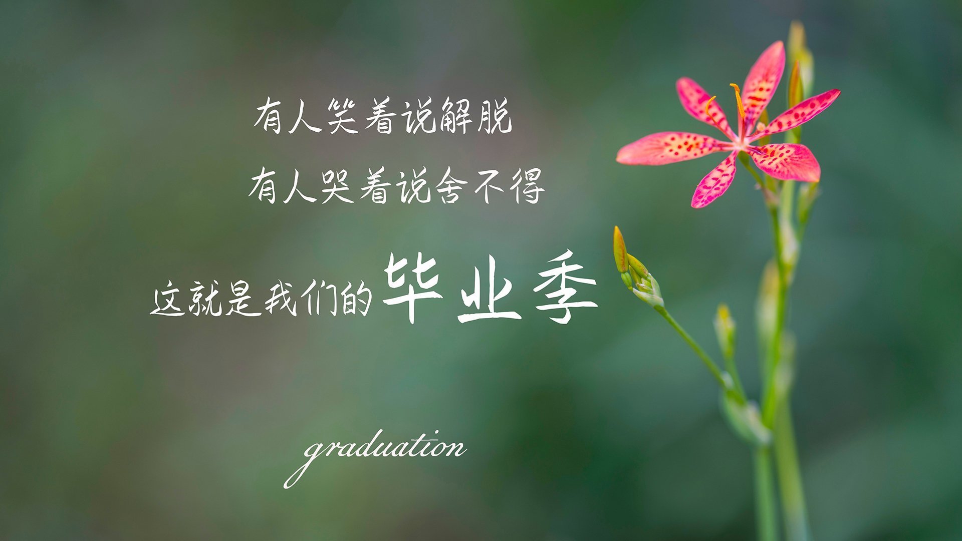 开云官方网站-_多场精彩对决：决赛日让人期待_，决赛精彩纷呈