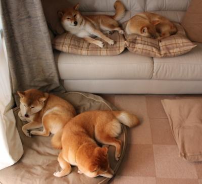 Kaiyun官方登录入口-_魔术队追逐梦想，不断迈向高峰_，魔术队魔术师