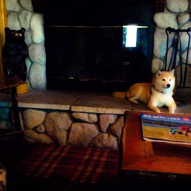 Kaiyun(中国)开云-“绝杀投篮：历史上的最精彩终极时刻”，nba历史绝杀投篮数