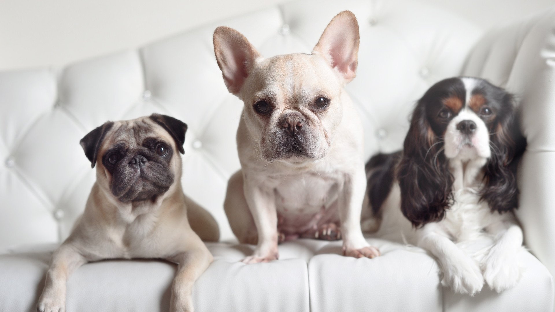 开云·体育官网APP下载-【名将专访】丁俊晖：保持训练热情的秘诀，丁俊晖是如何练成的