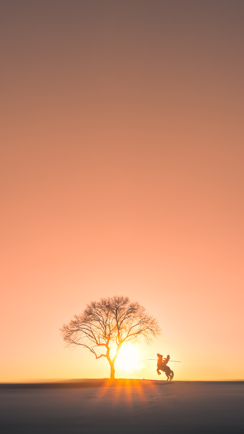 开云官方-中国篮球明星转型成为商业偶像,影响力扩大,中国篮球明星介绍