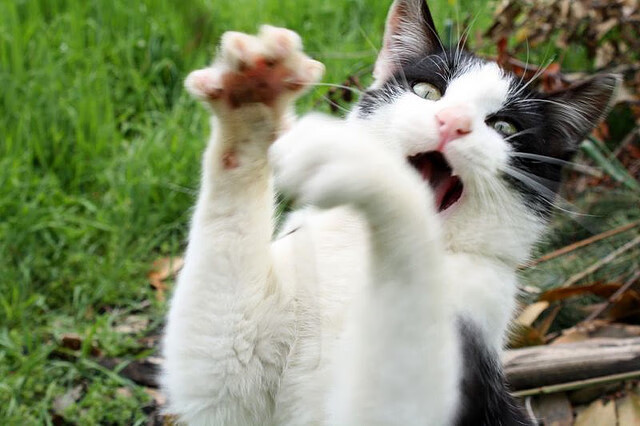 详细阅读:开云网页版-全球极限骑行挑战,穿越世界各大风景名胜,骑行挑战自己挑战极限 开云网页版-全球极限骑行挑战,穿越世界各大风景名胜,骑行挑战自己挑战极限