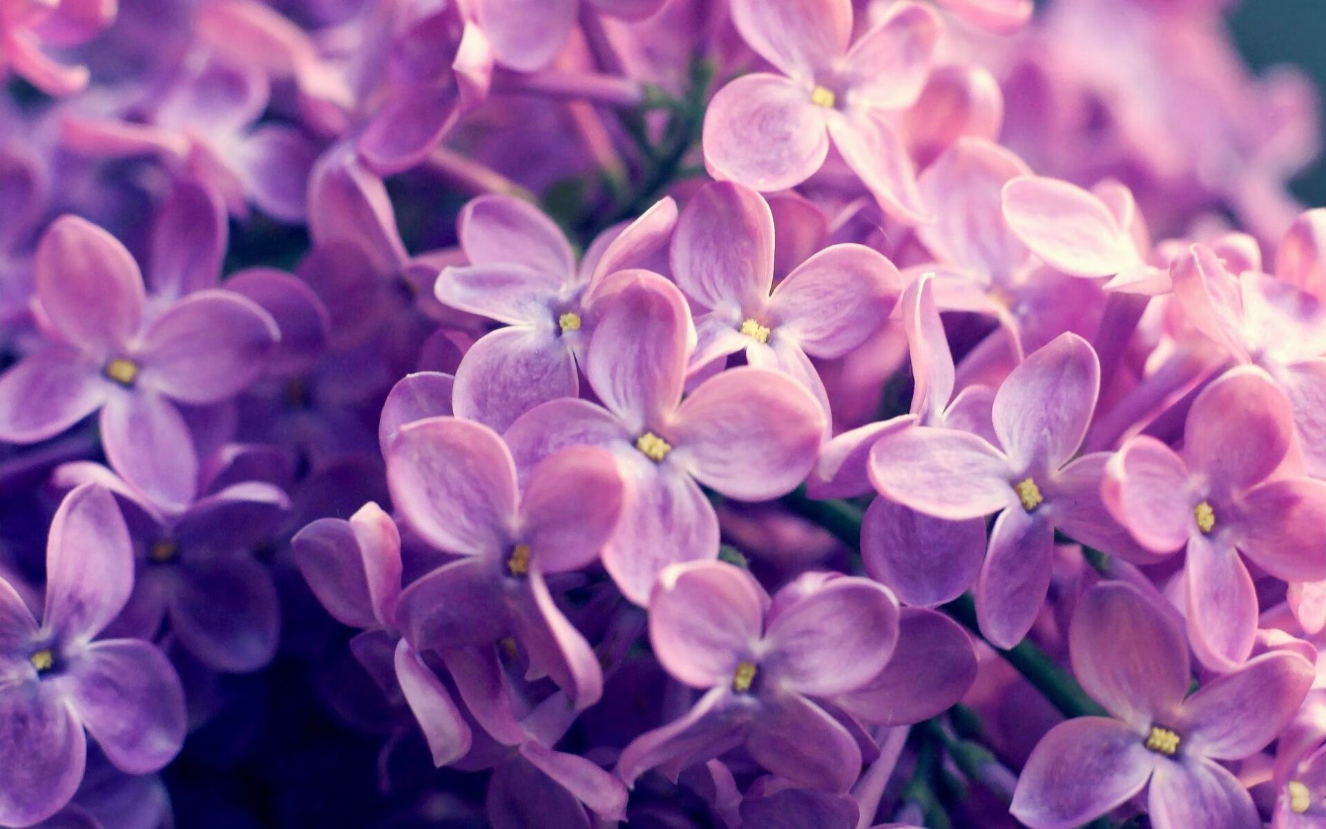 Kaiyun(中国)开云-CSKA年轻球员崭露头角，助力球队成长，csgoqka年龄