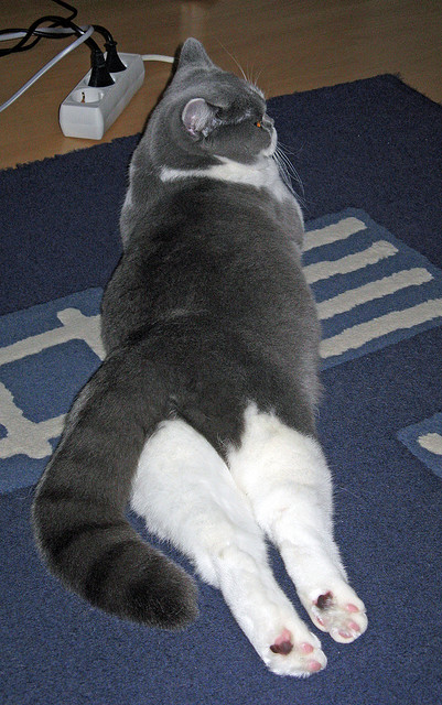 kaiyun开云·官方网站-土耳其队取得连胜，战胜冰岛晋级下一轮，土耳其队强吗