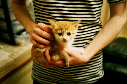 开云平台-电竞战队市场拓展策略及品牌影响力提升路径分析，电竞战队运营及管理