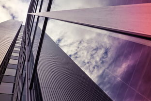 开云官网APP下载-多彩赛场：未来足球场的多元化设计理念，足球场地建设创新做法