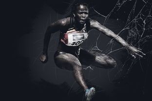 美国网球公开赛德约科维奇豪取大满贯,网球大师赛德约科维奇