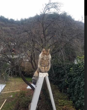 kaiyun开云·官方网站-世界杯预选赛中国青年队战败 球迷分析战术漏洞，世界杯预选赛中国队打平