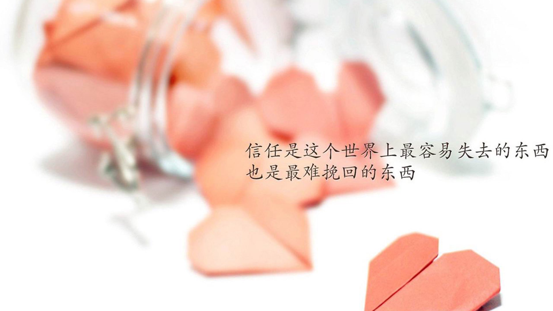 女子200自澳洲选手惊艳全场，澳大利亚女子200米自由泳