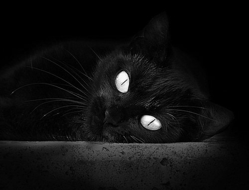 开云官方网站-世界杯夺冠热门的防守隐忧，世界杯冠军蝉联