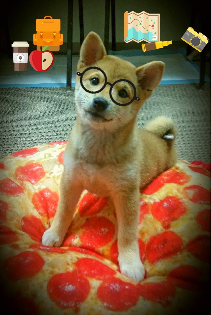 开云网页版-中甲比赛直播平台增加拓展球迷观赛渠道,中甲直播球迷网