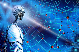 开云官网APP下载-后备力量逐渐成型球队未来发展路径日益清晰，后备力量的定义