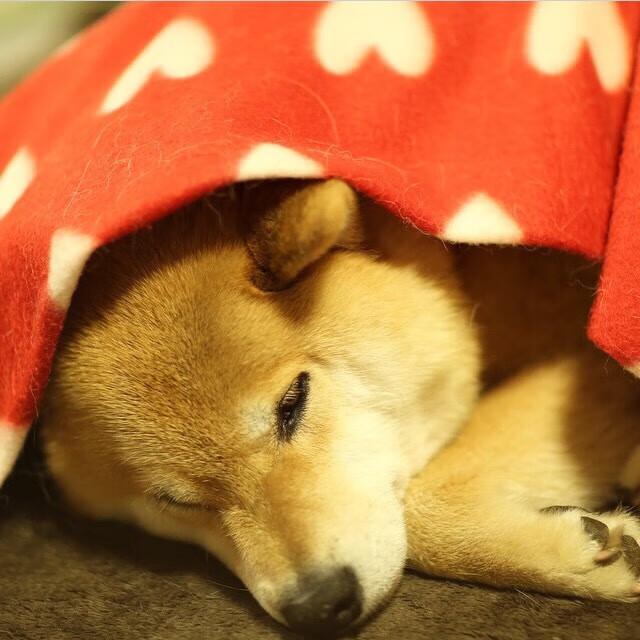 kaiyun开云·官方网站-数据统计显示传球成功率提升得益于整体跑位更加合理,传球技术