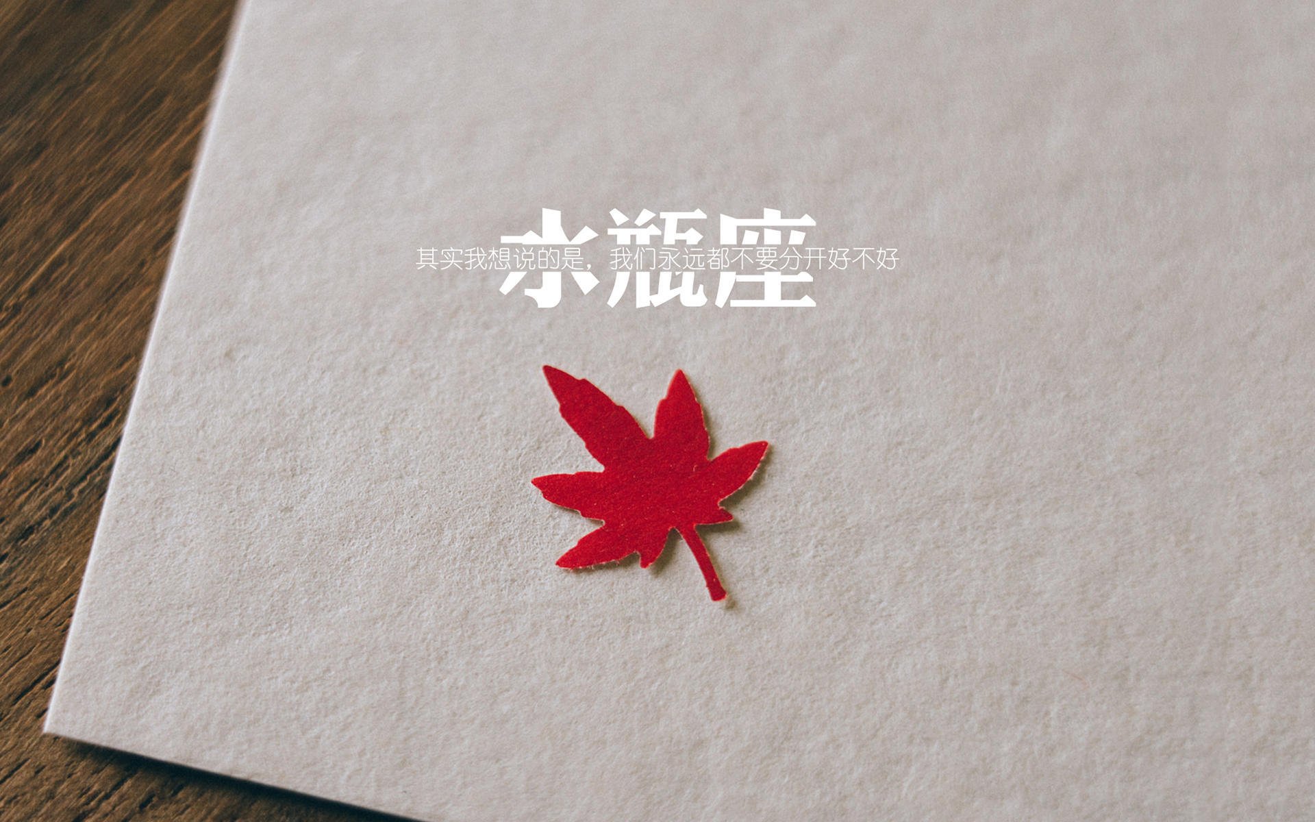 kaiyun中国官方网站-爱尔兰橄榄球获得更多财政支持,爱尔兰橄榄球国家队