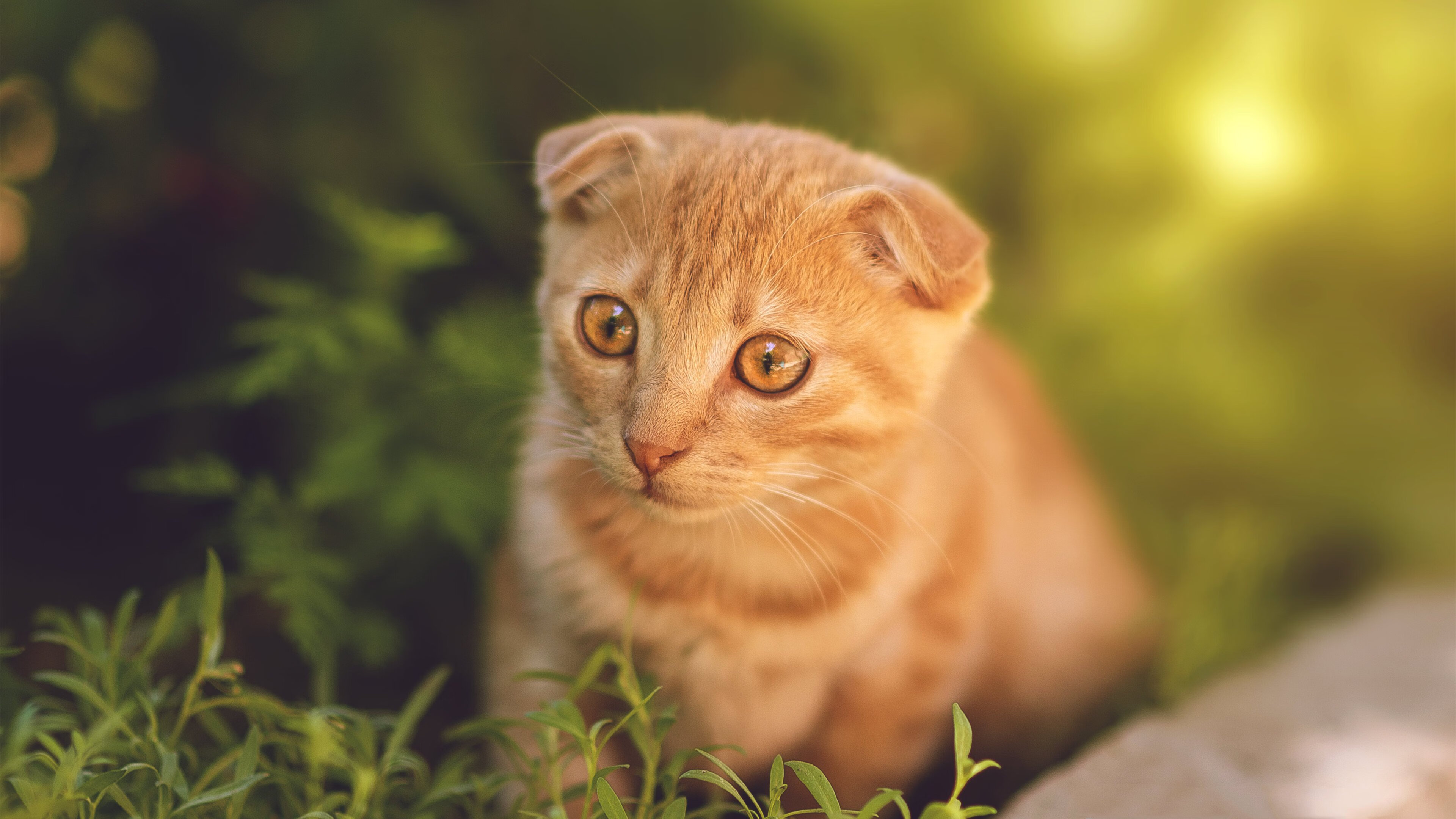 Kaiyun官方登录入口-篮球场地智能维护机器人首次实地测试，智能化篮球场