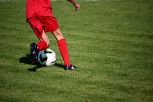 kaiyun登录入口-跨国足球合作项目实现深度融合,推动国际青训体系建设,国际足联青训定义