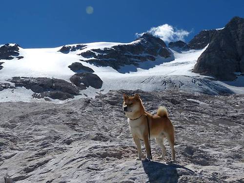 开云网页版-青训中心普及心理辅导课程注重球员情绪管理能力,足球心理训练对于青少年球员产生的影响