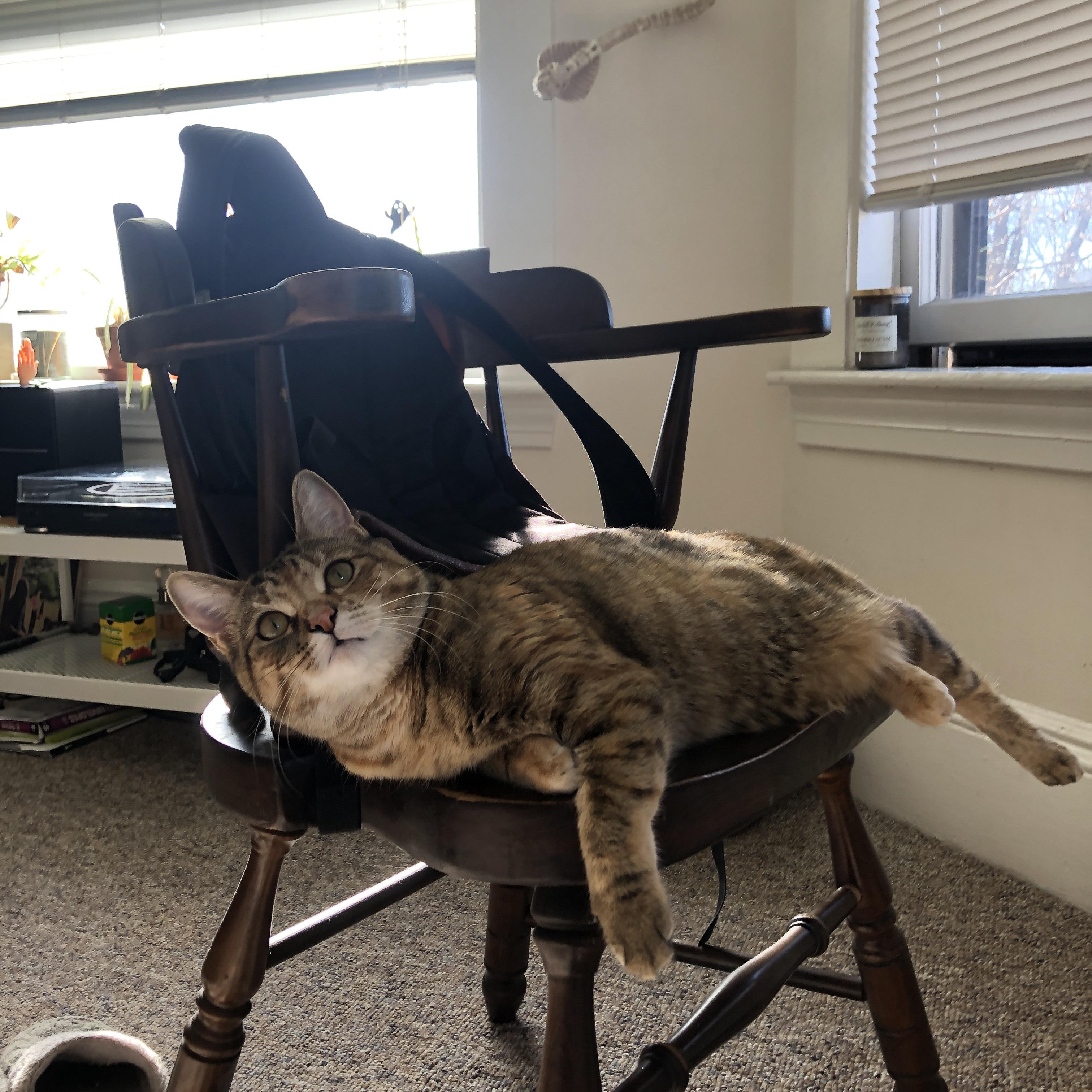 开云网站-青训课程加入身体协调性训练提升全面运动能力,体能训练协调性训练