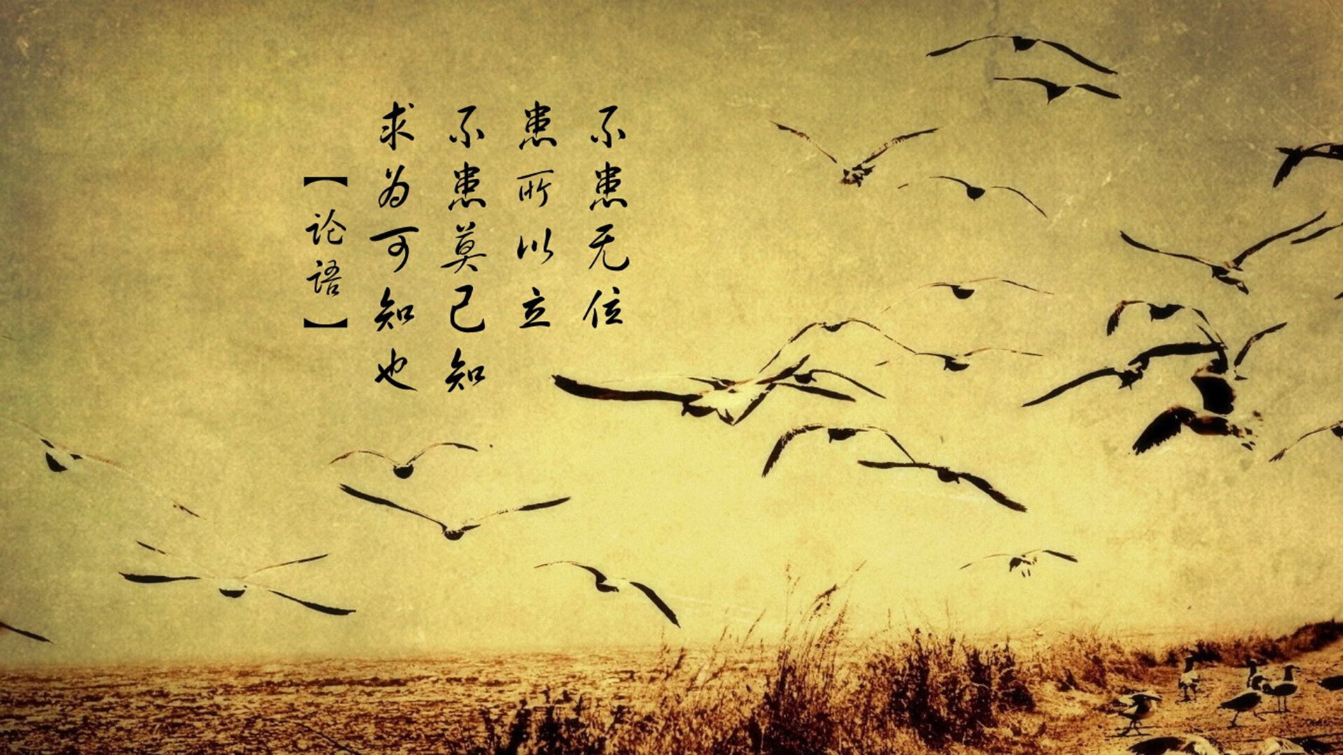 开云官方网站-骑士高层参与训练旁听体现管理层对球队支持,骑士的教练是都有谁